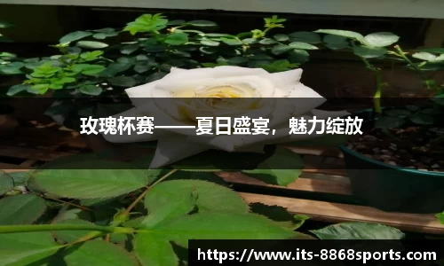8868体育平台