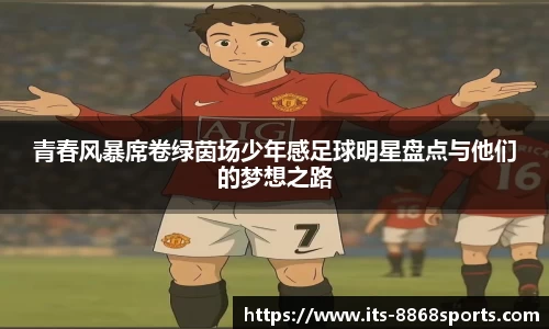 8868体育官网